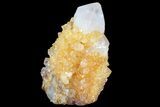 Sunshine Cactus Quartz Crystal - South Africa #80193-1